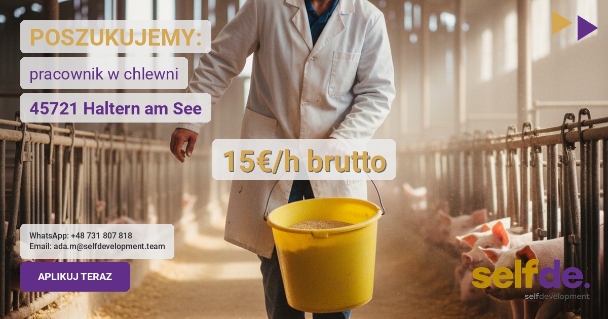 Praca przy trzodzie chlewnej w Haltern am See