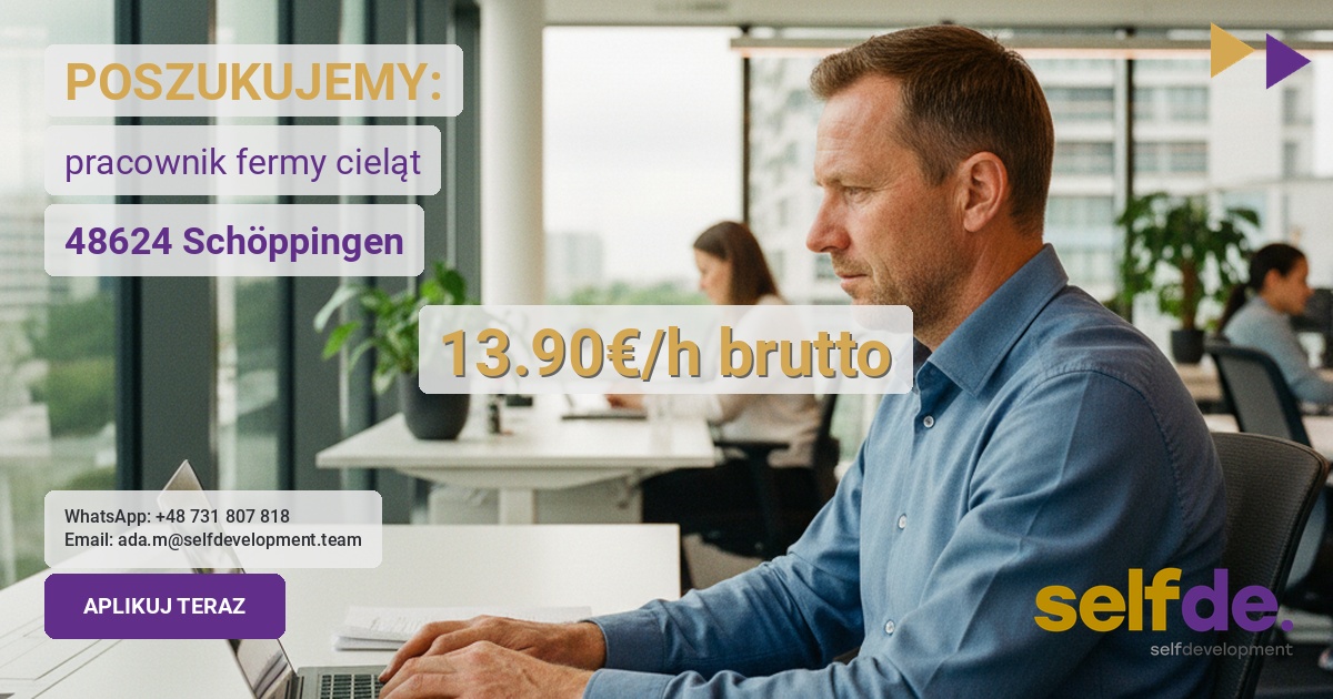 Praca przy hodowli cieląt w Schöppingen