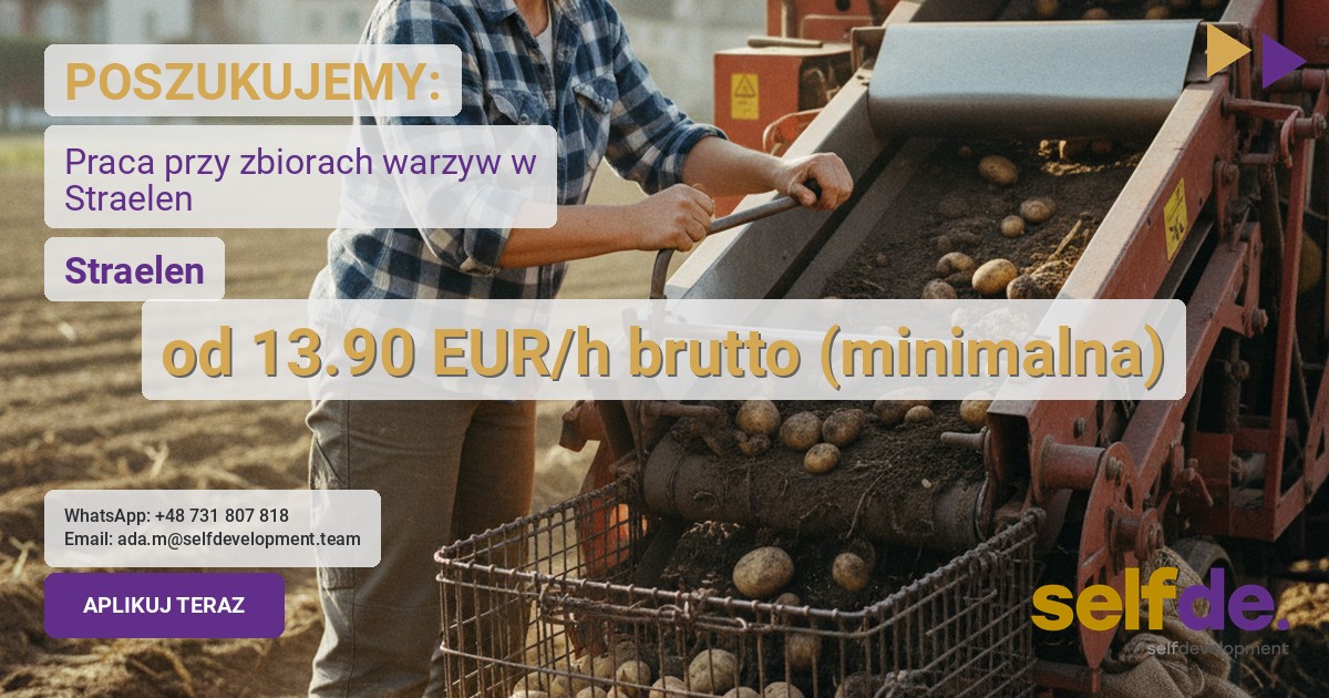Pracownik zbiorów - Staraelen - praca w Staraelen