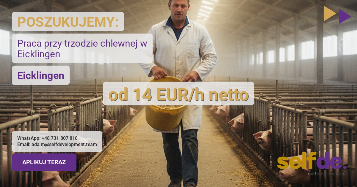 Praca jako trzoda chlewna/tucz w 29358 Eicklingen - praca w Eicklingen