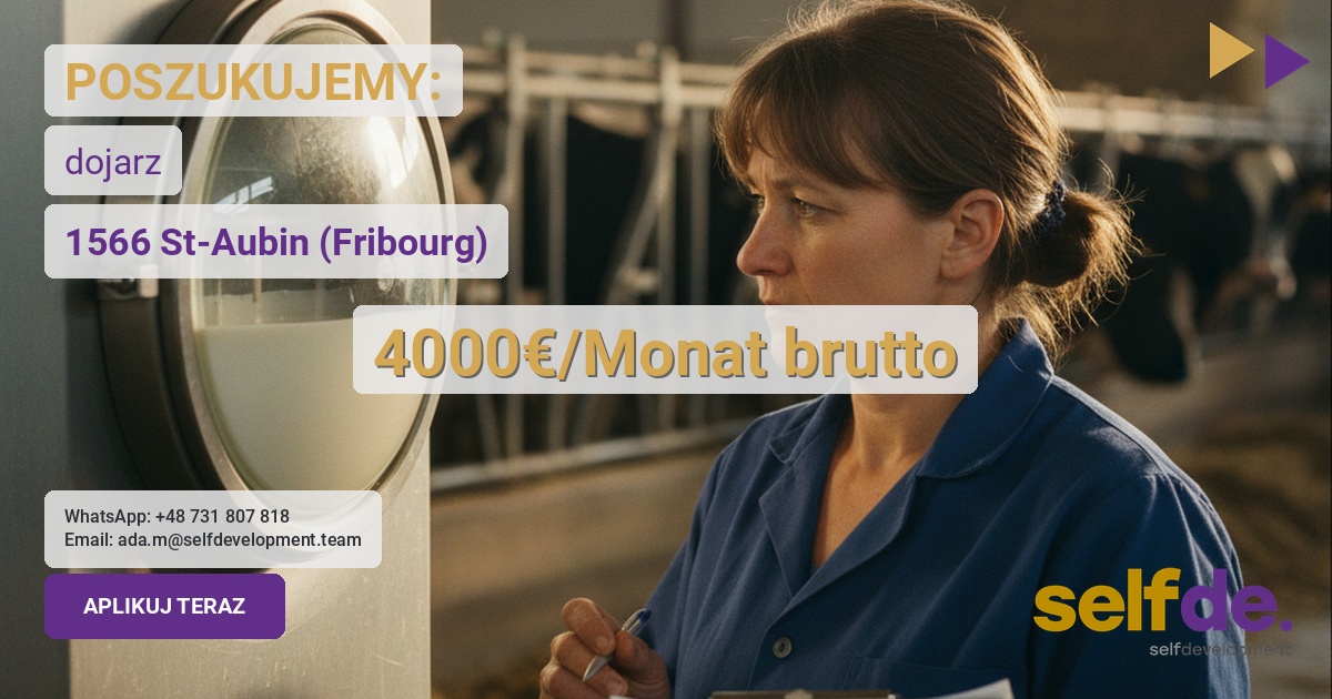 Praca przy bydle mlecznym w Szwajcaria