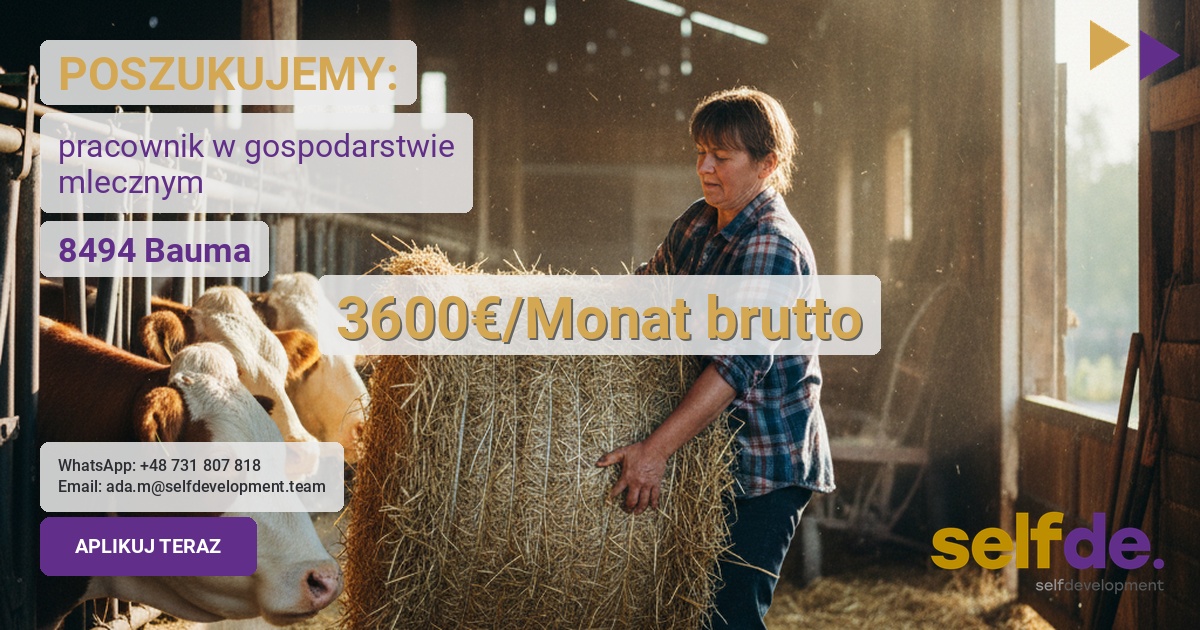 Praca przy bydle mlecznym w Szwajcaria - praca w Szwajcaria