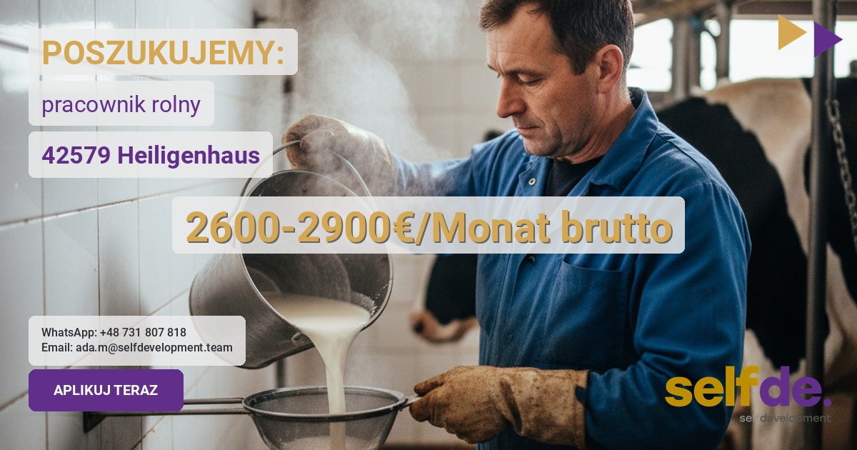 Praca przy bydle mlecznym w Heiligenhaus - praca w Heiligenhaus