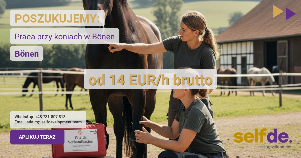 Praca przy hodowli koni w 59199 Bönen
