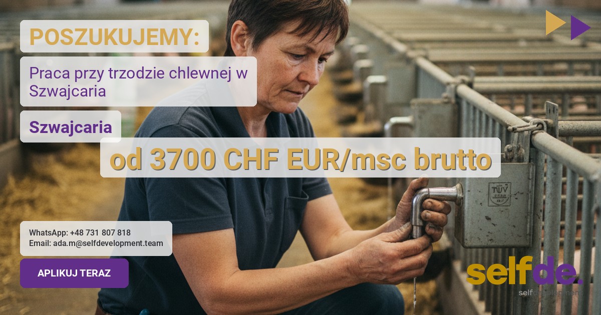 Praca przy hodowli trzody chlewnej w 8226 Schleitheim