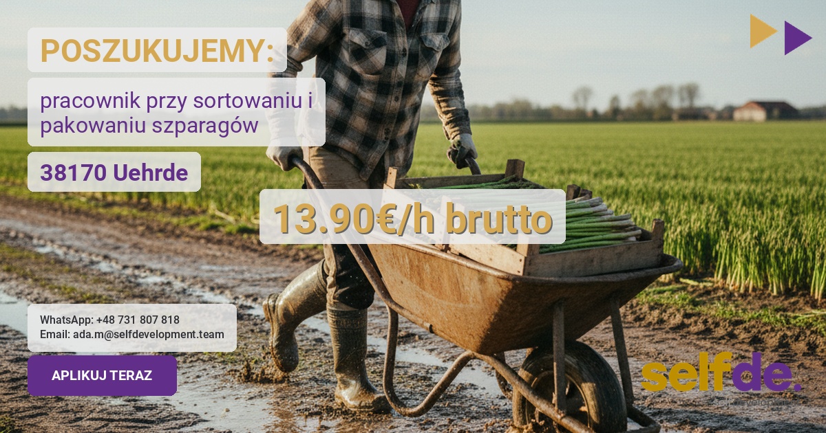 Praca przy sortowaniu i pakowaniu szparagów w 38170 Uehrde - praca w Uehrde