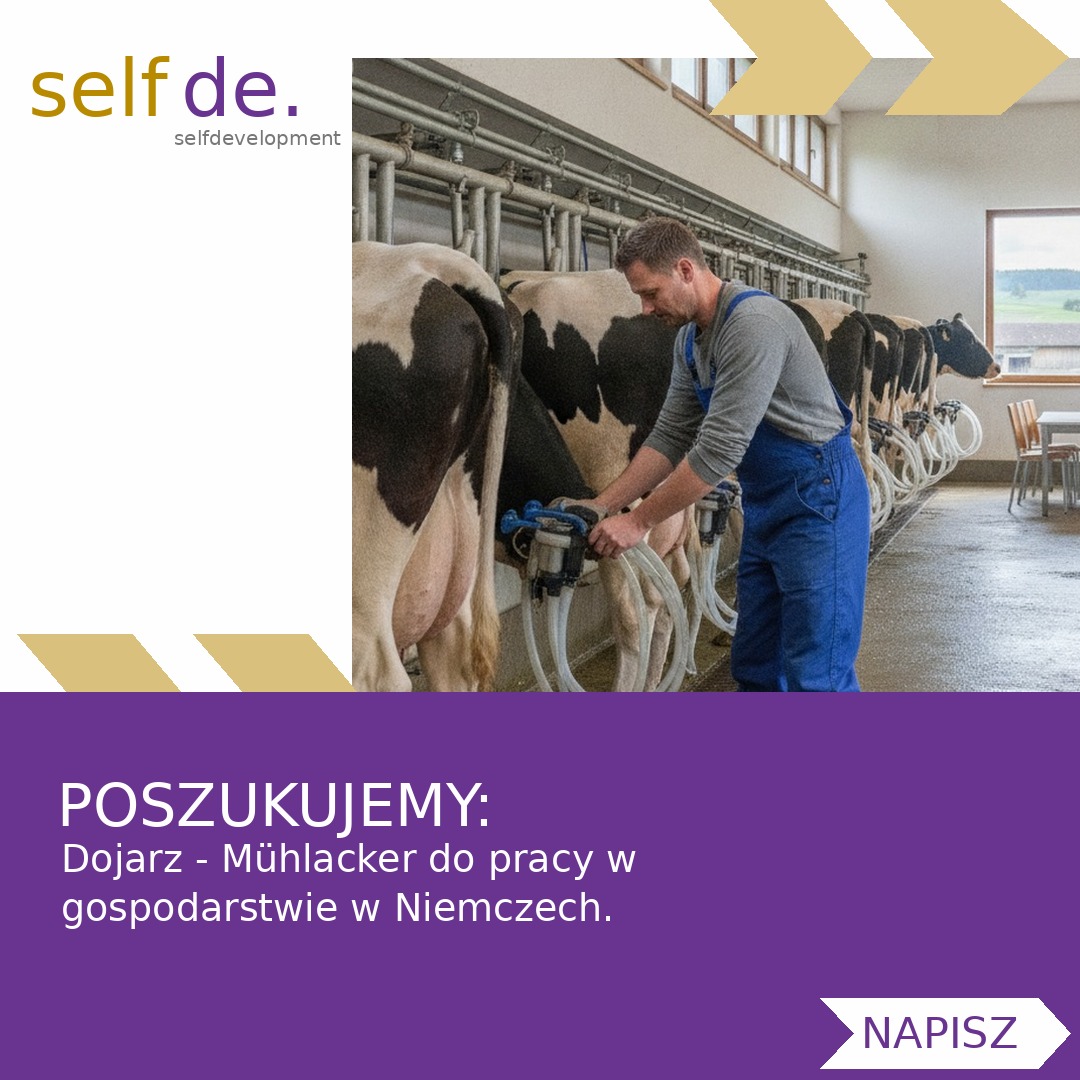 Dojarz - Mühlacker - praca w Mühlacker