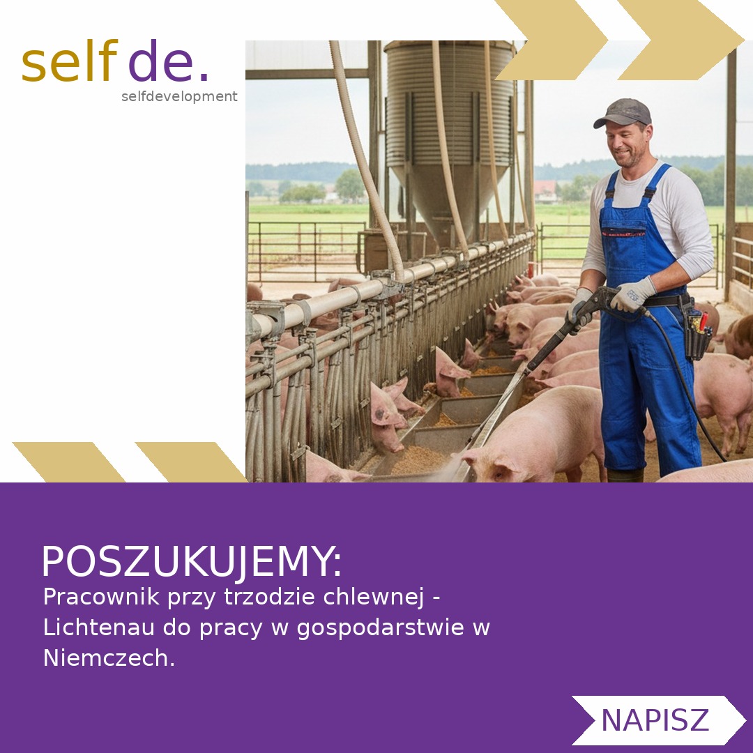 Pracownik przy trzodzie chlewnej - Lichtenau - praca w Lichtenau