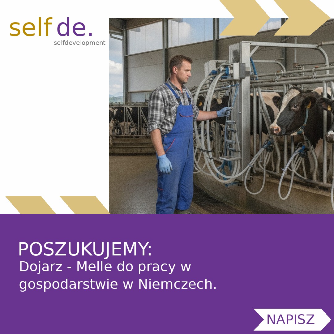 Dojarz - Melle - praca w Melle