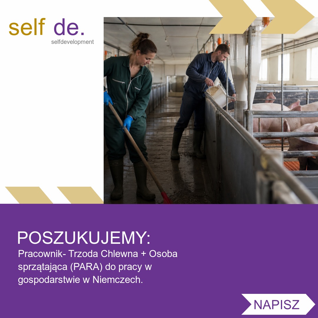 Pracownik przy trzodzie chlewnej - Borken, Niemcy - praca w Borken, Niemcy