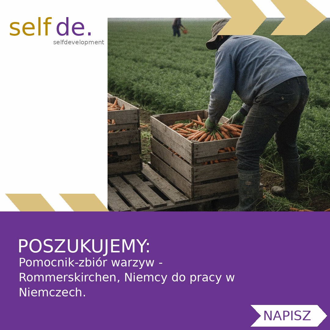 Pomocnik-zbiór warzyw - Rommerskirchen, Niemcy - praca w Rommerskirchen, Niemcy