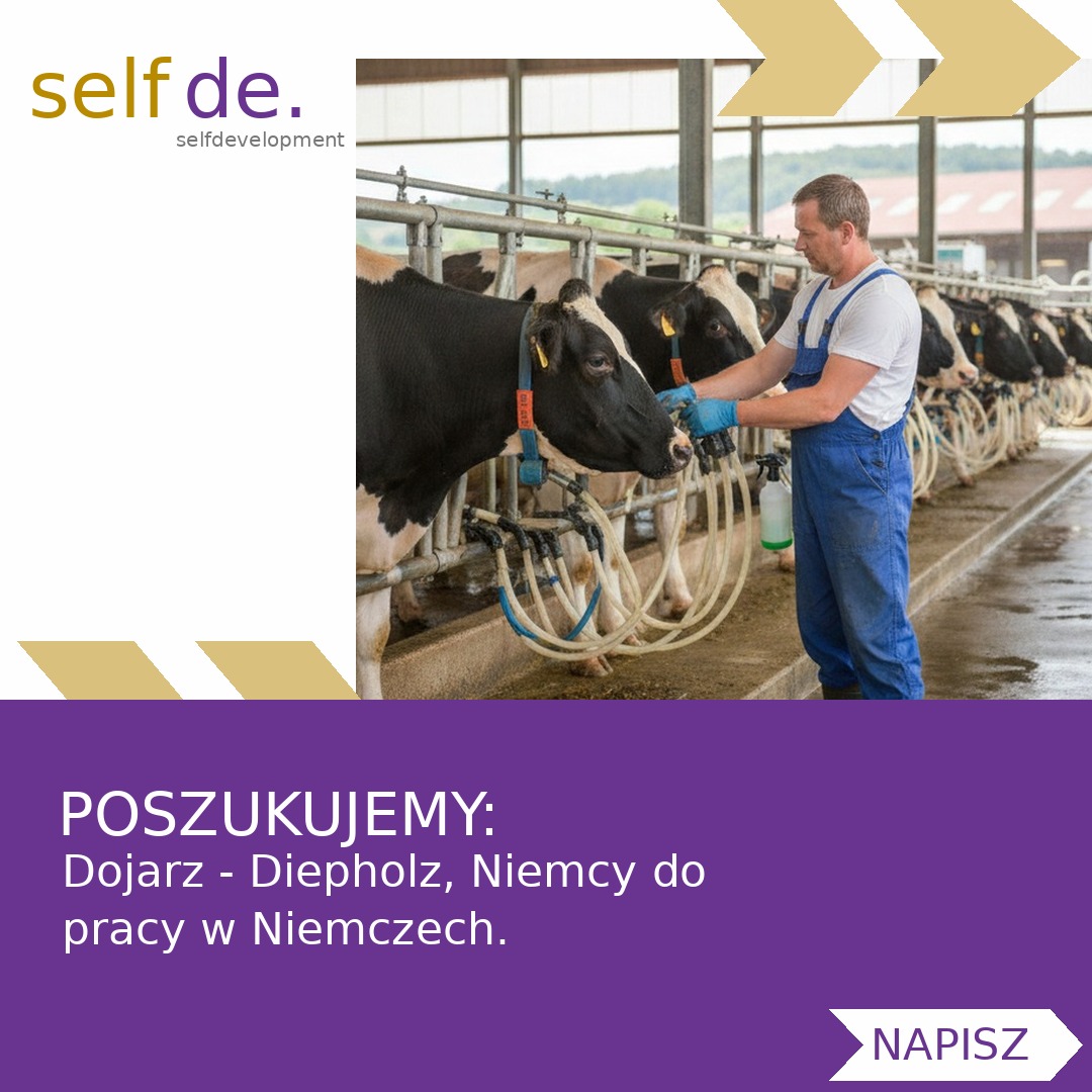Dojarz - Diepholz, Niemcy - praca w Diepholz, Niemcy