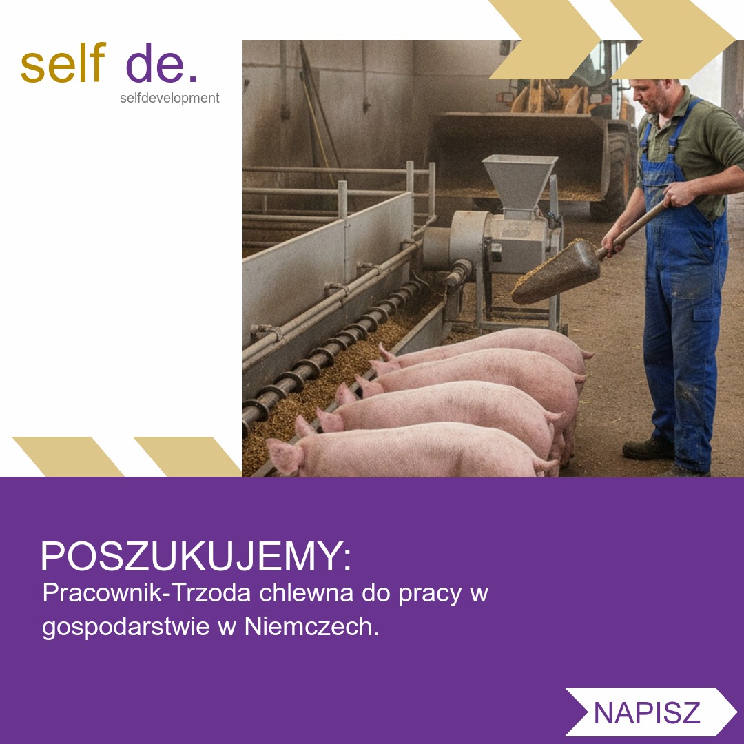 Pracownik przy trzodzie chlewnej - Püssensheim - praca w Püssensheim
