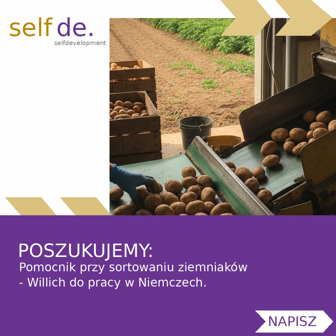 Pomocnik przy sortowaniu ziemniaków - Willich - praca w Willich