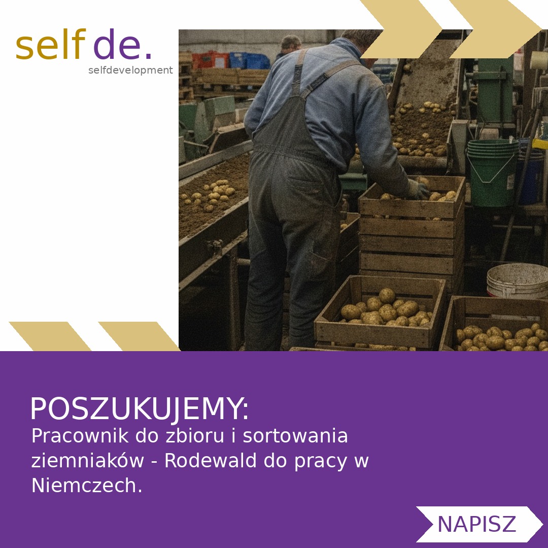 Pracownik do zbioru i sortowania ziemniaków - Rodewald - praca w Rodewald