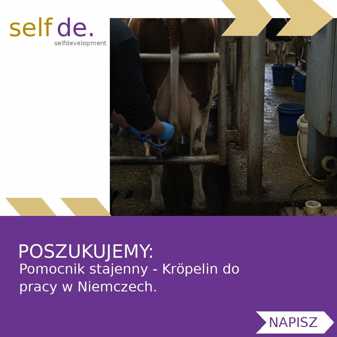 Pomocnik stajenny - Kröpelin - praca w Kröpelin