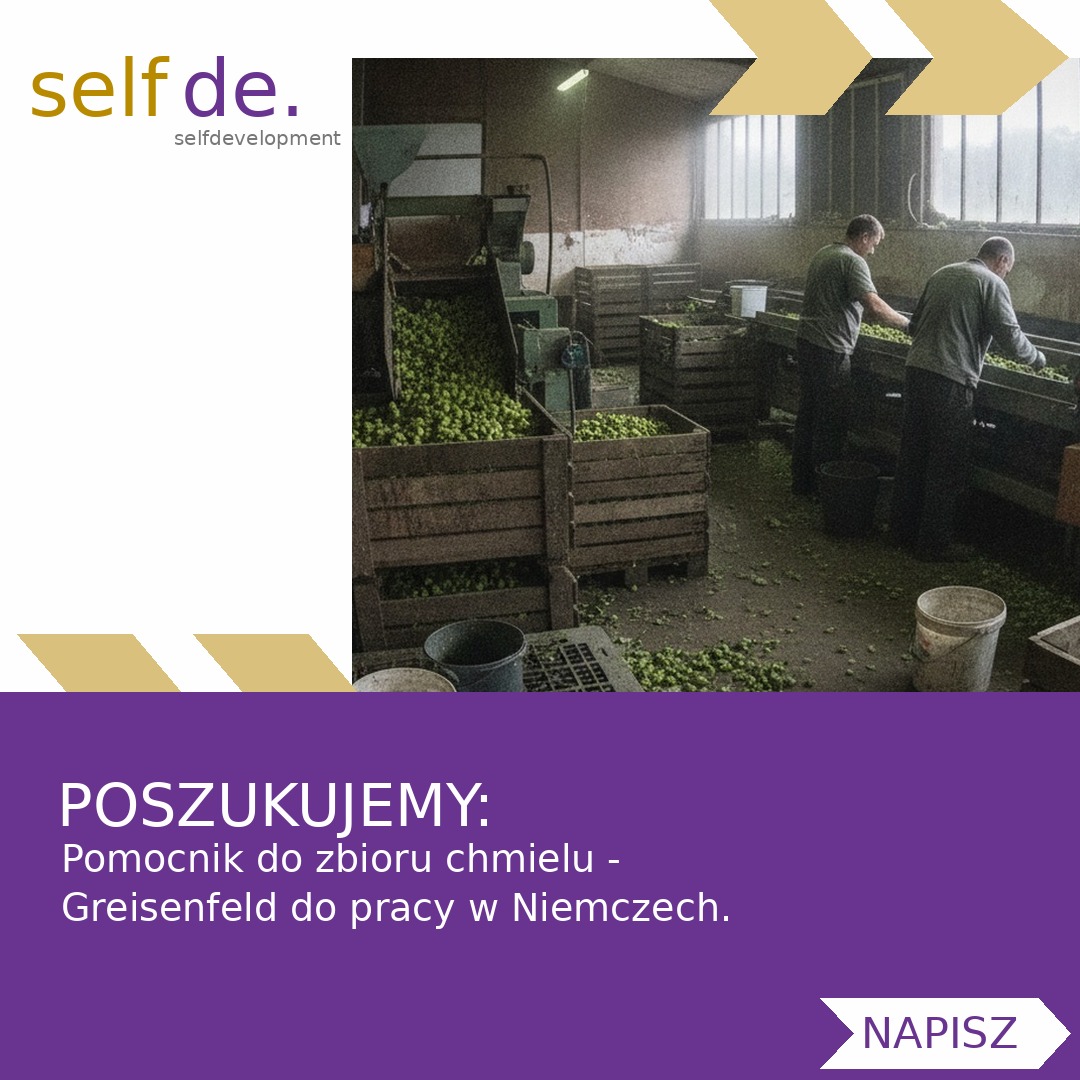 Pomocnik do zbioru chmielu - Greisenfeld - praca w Greisenfeld