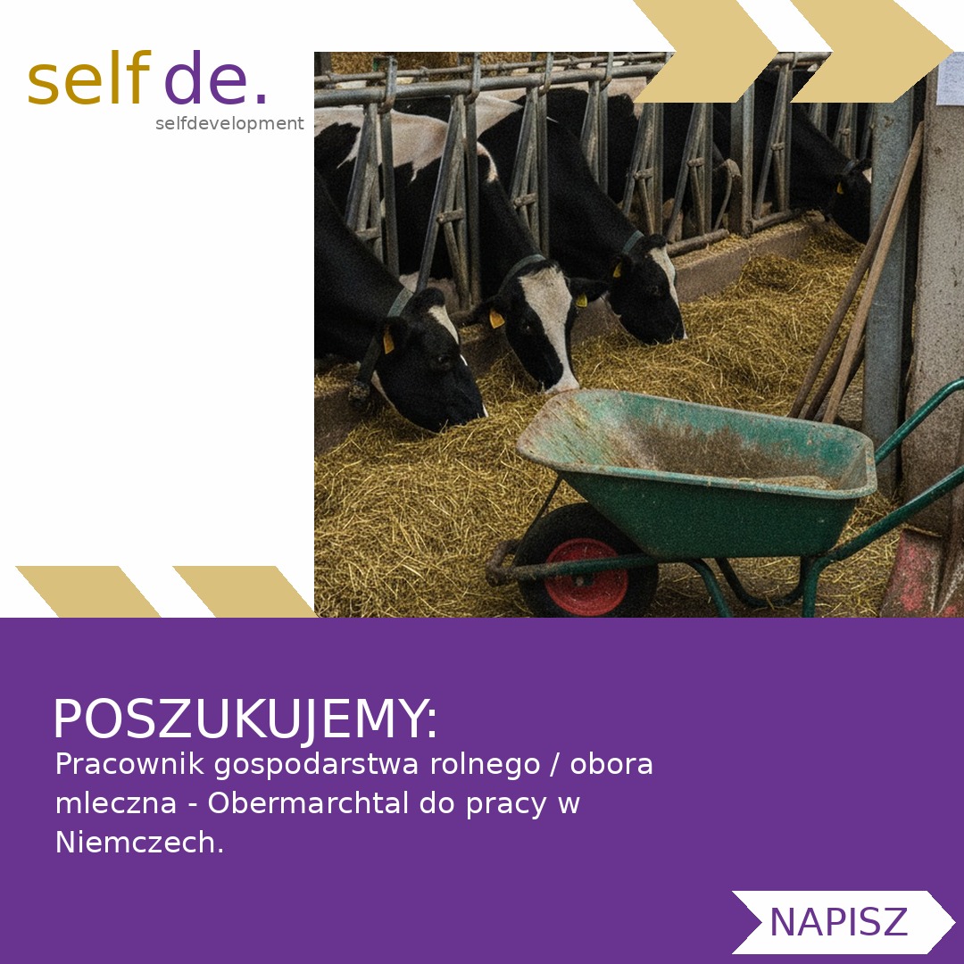 Pracownik gospodarstwa rolnego / obora mleczna - Obermarchtal