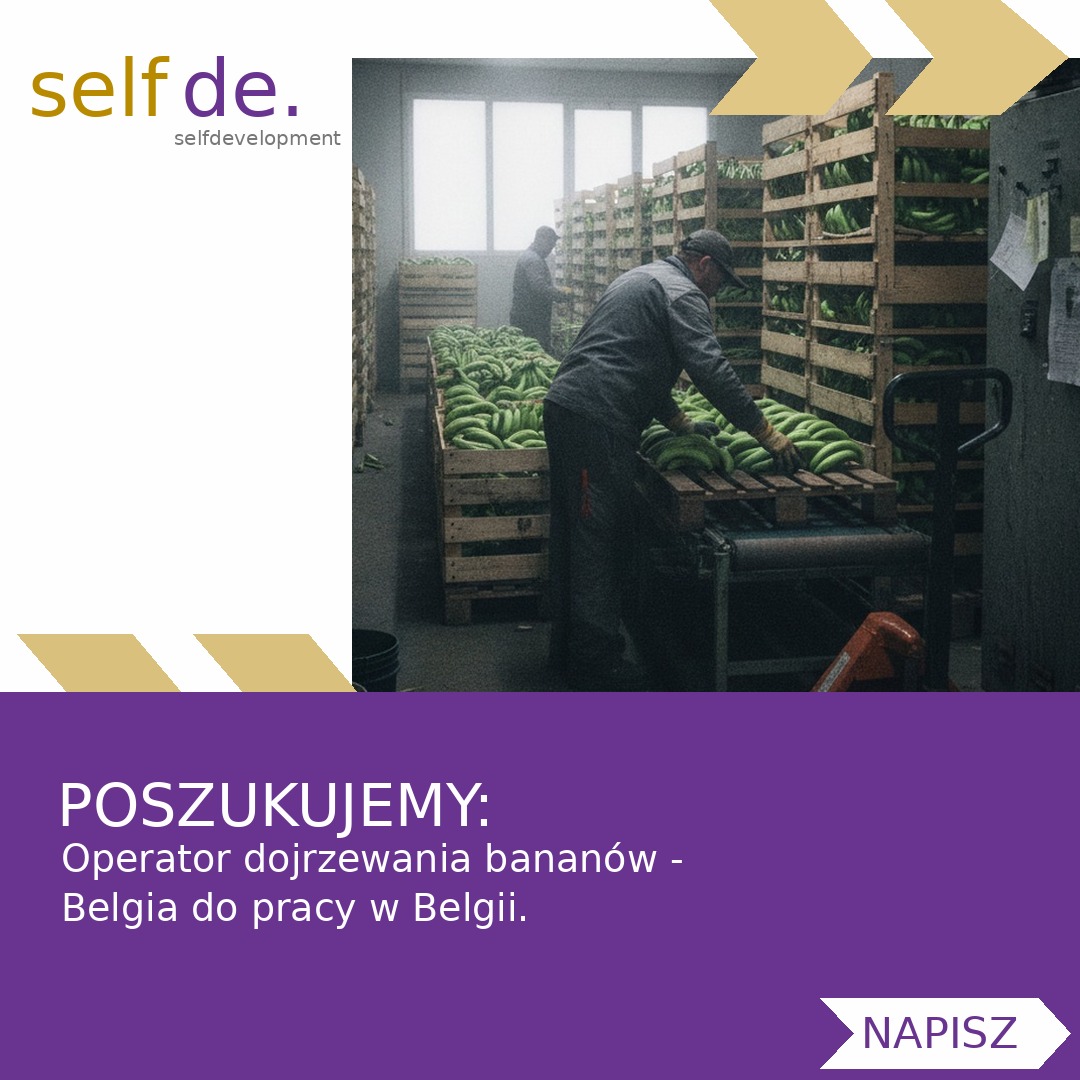 Operator dojrzewania bananów - Belgia - praca w Belgia
