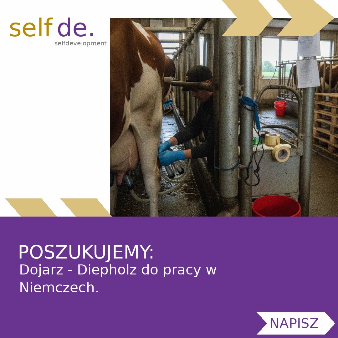 Dojarz - Diepholz - praca w Diepholz