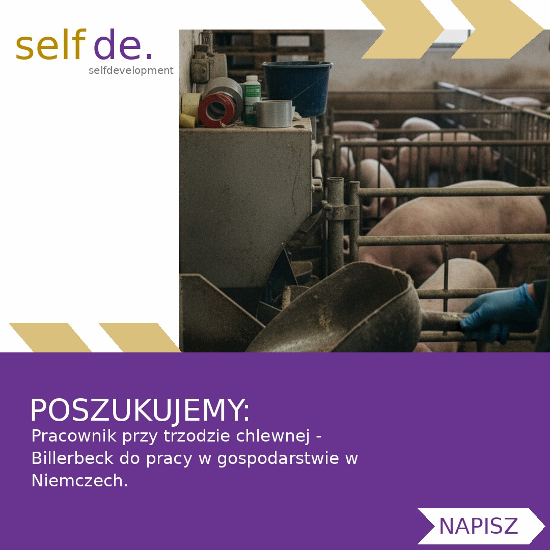 Pracownik przy trzodzie chlewnej - Billerbeck - praca w Billerbeck