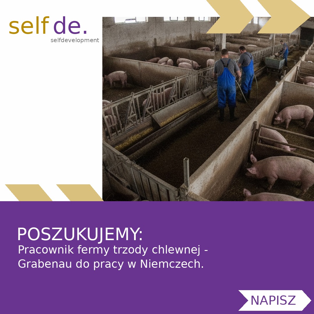 Pracownik fermy trzody chlewnej - Grabenau - praca w Grabenau