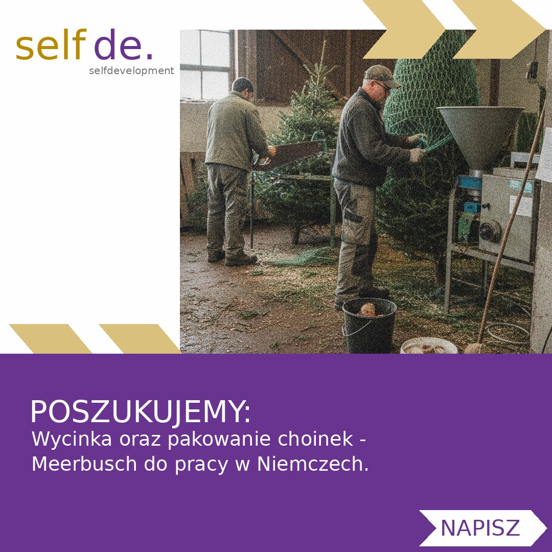 Wycinka oraz pakowanie choinek - Meerbusch - praca w Meerbusch
